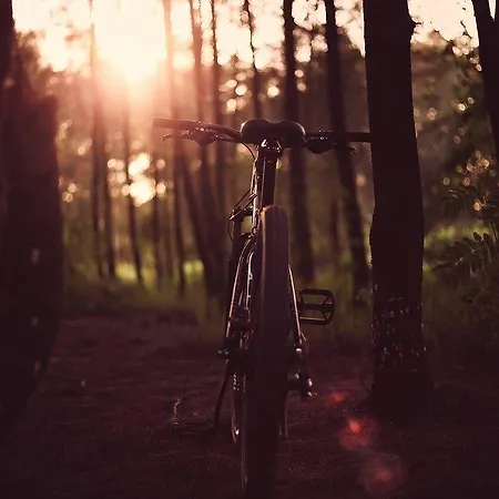 ホテル オテル デ ドゥ クレ テュルクアイム